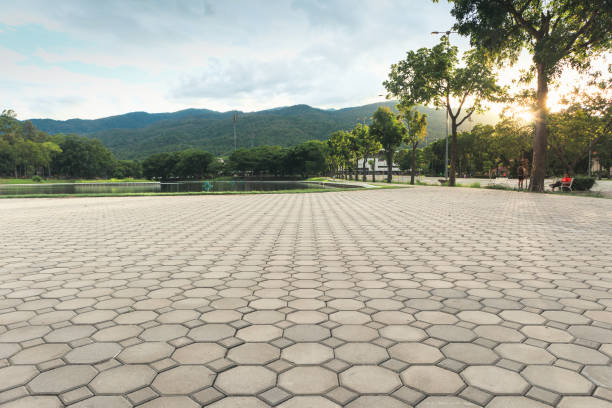 Best Commercial Driveway Pavers  in Rosemont, IL