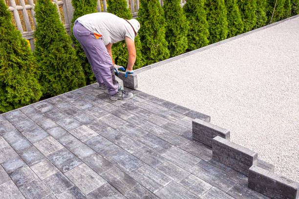 Best Driveway Paver Repair  in Rosemont, IL