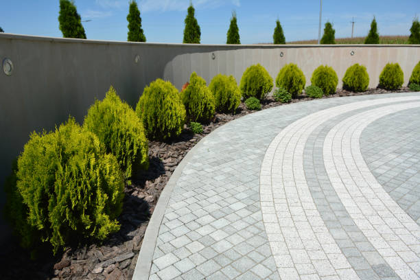 Best Affordable Driveway Pavers  in Rosemont, IL