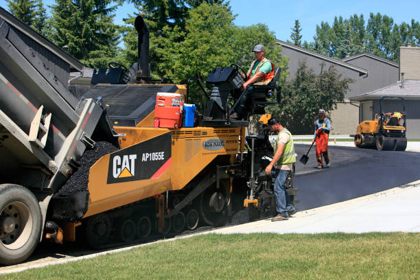 Best Custom Driveway Pavers  in Rosemont, IL