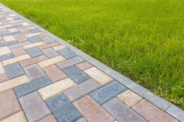 Best Driveway Repair Near Me  in Rosemont, IL